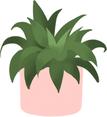 Indoor plant illustration 