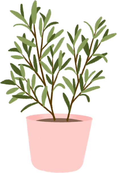 Indoor plant illustration 